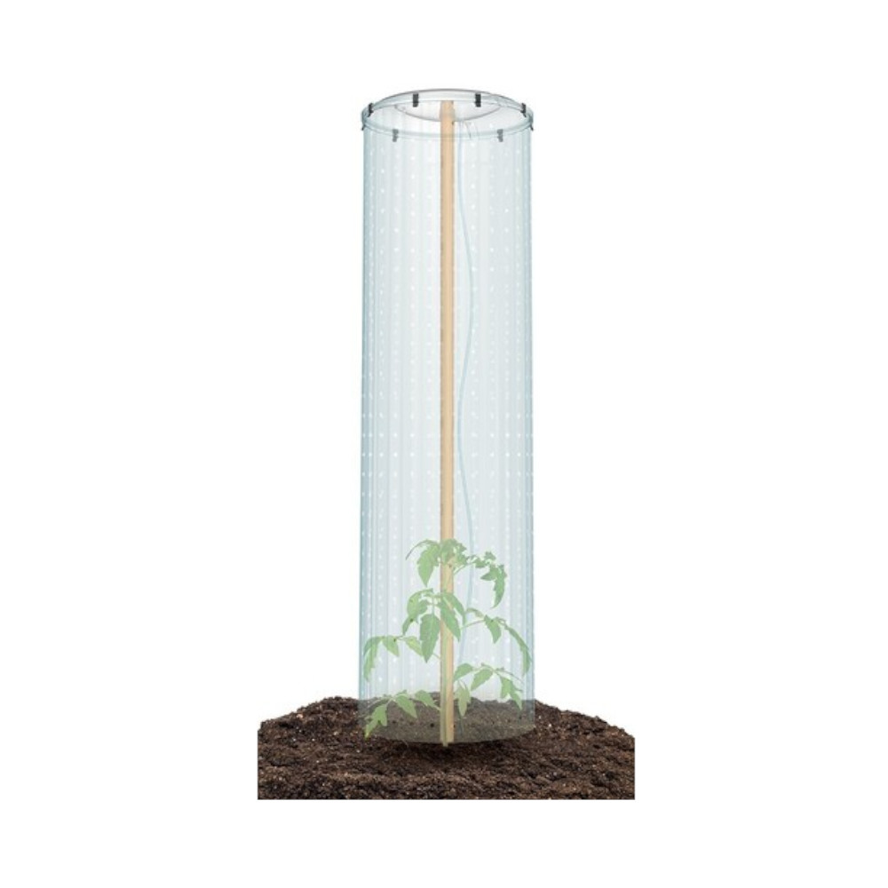 Prosperplast Fóliovníková sada pre paradajku GROWER CAP 38,5 cm